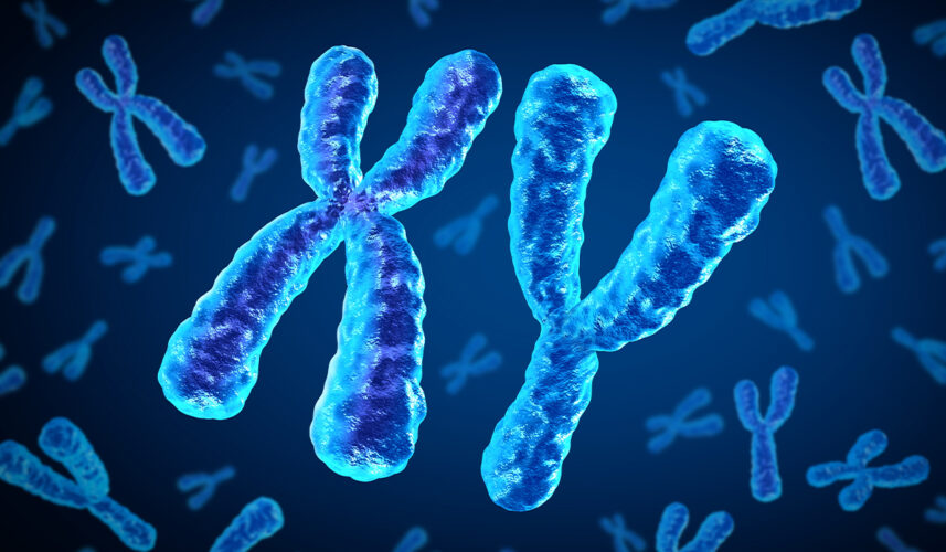 Chromosome: What Is, Types, and Chromosomal Aberrations