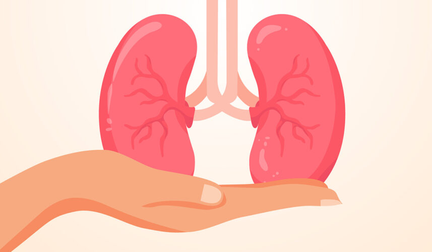 Kidney: What Is, Functions, Location, Anatomy, Conditions, and Health