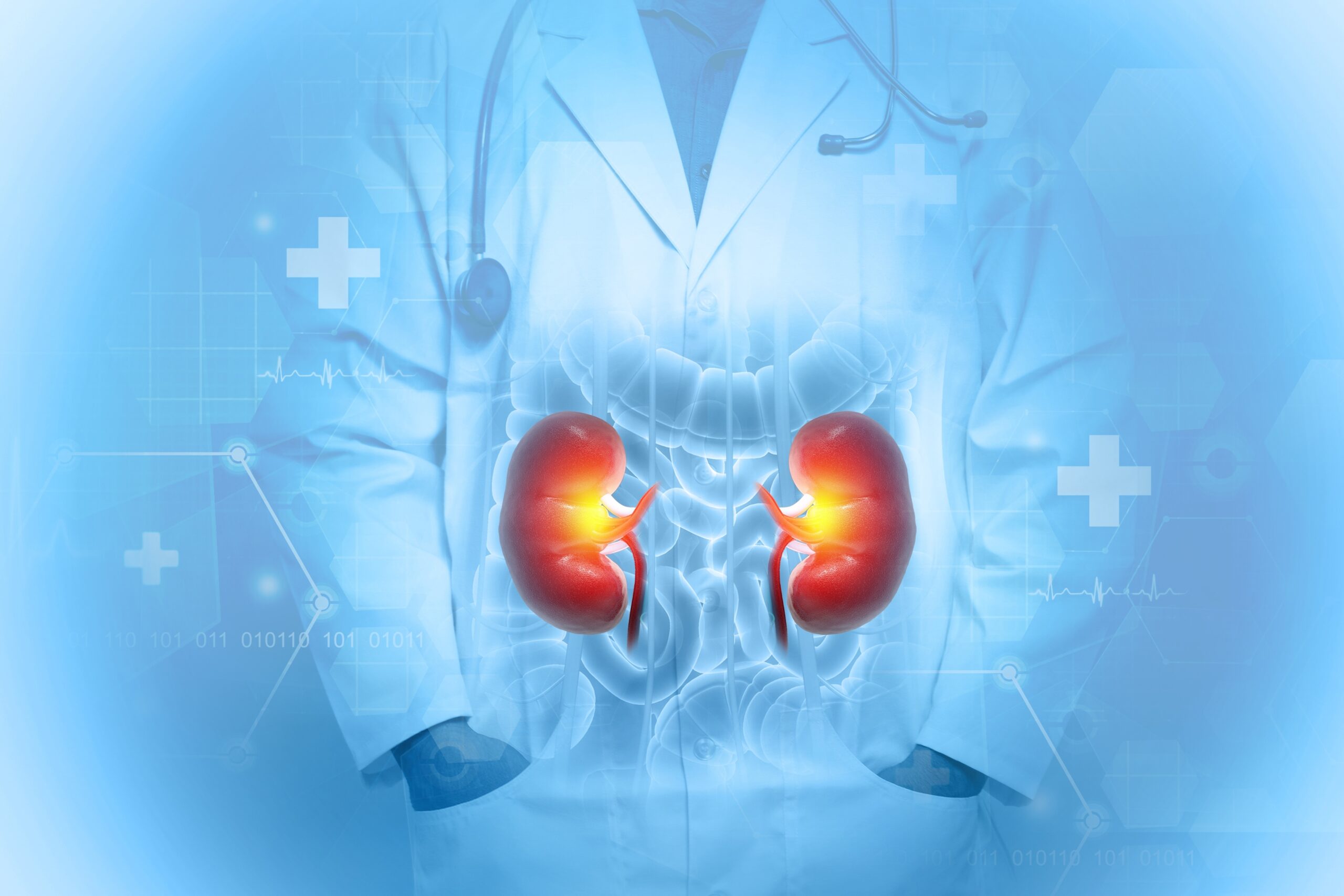 Kidney: What Is, Functions, Location, Anatomy, Conditions, and Health