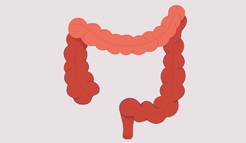 Colon: What Is, Functions, Diseases, and Prevention