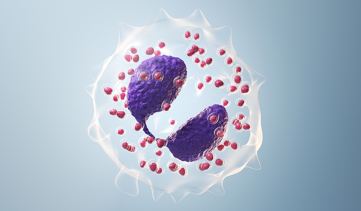 Eosinophils