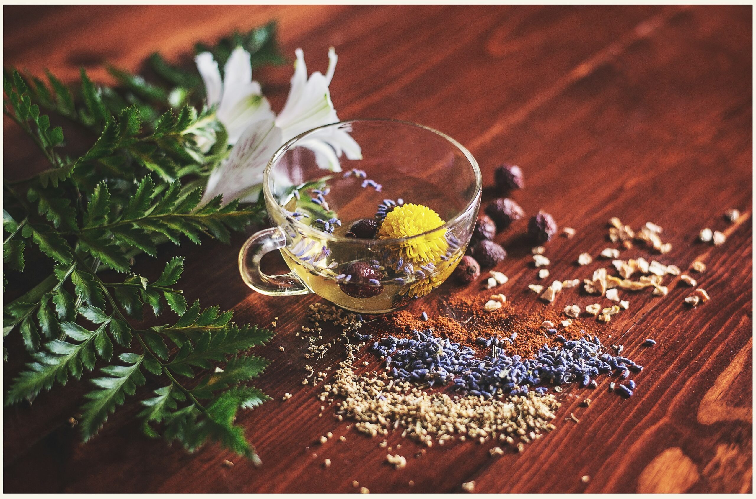 Naturopath: Who Is, Who Should See, and Treated Problems