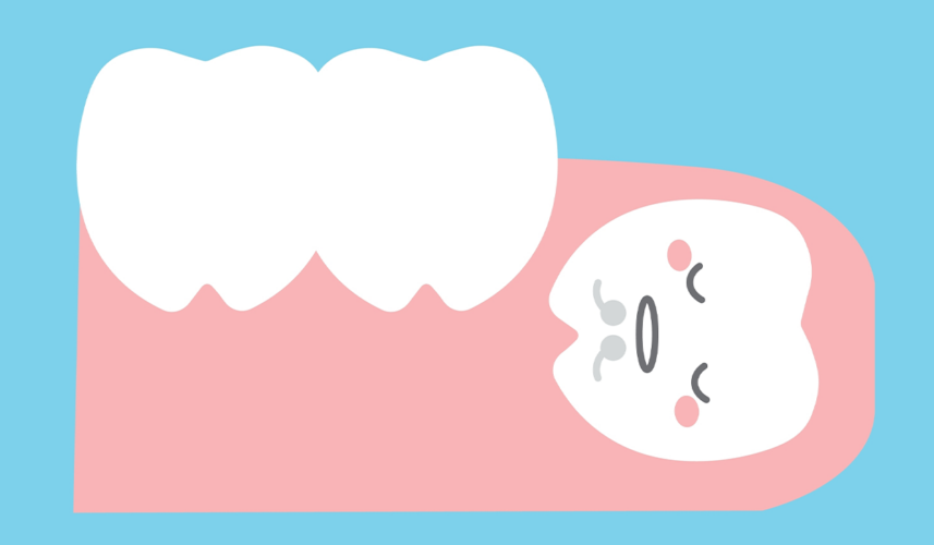 Wisdom Teeth: What Are, Functions, and Anatomy