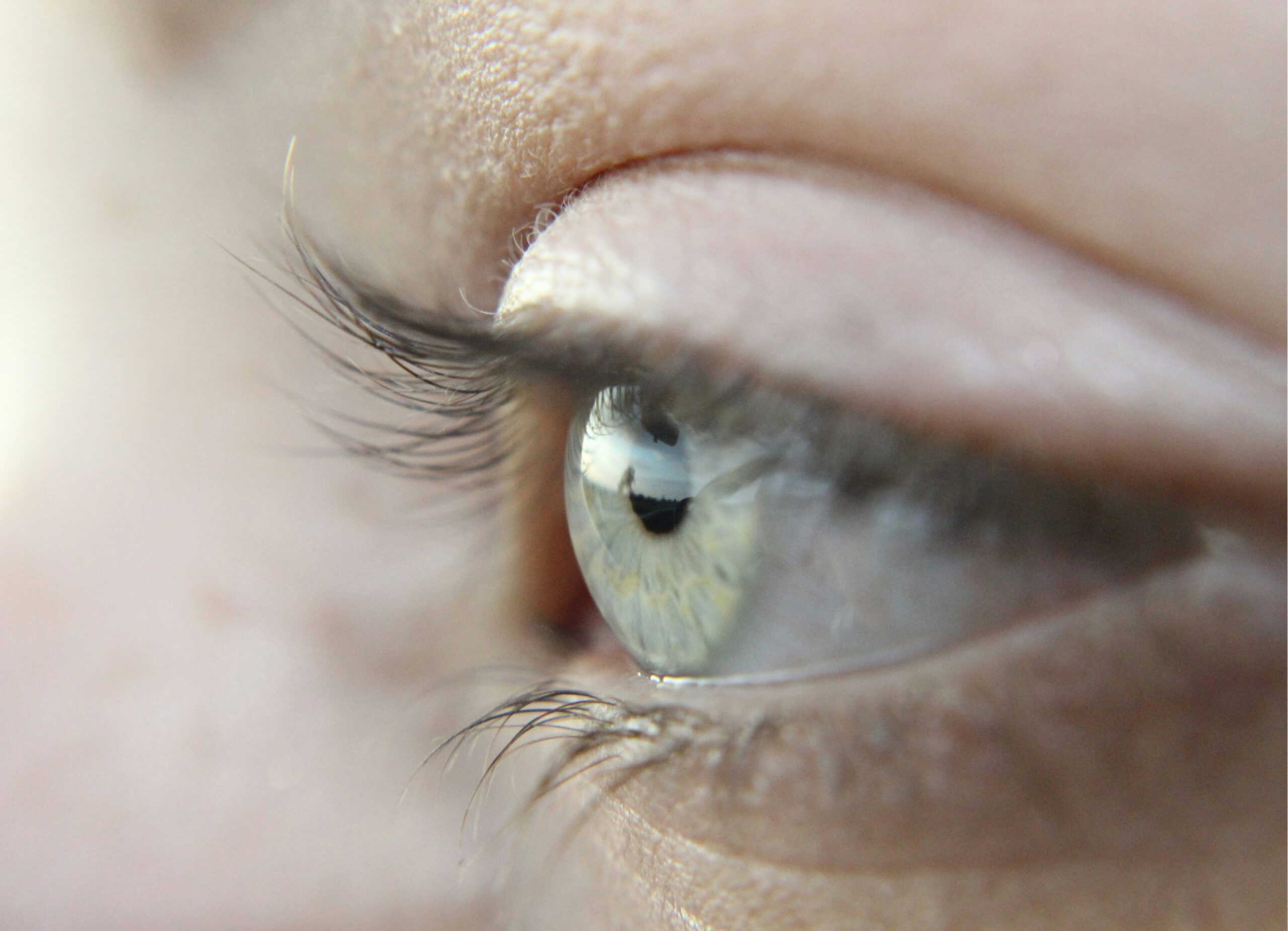 Contact Lenses: What Are, How They Work, Types, and More