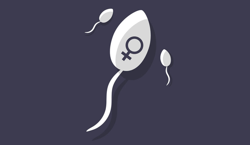 Vasectomy: What Is, Preparing, Procedure, and Indications
