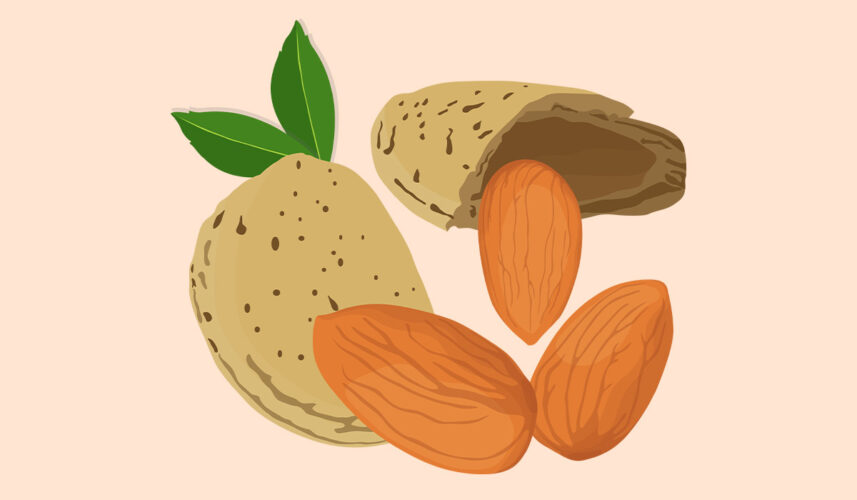 Almonds: What Are, Health Benefits, Nutrients, and Safety