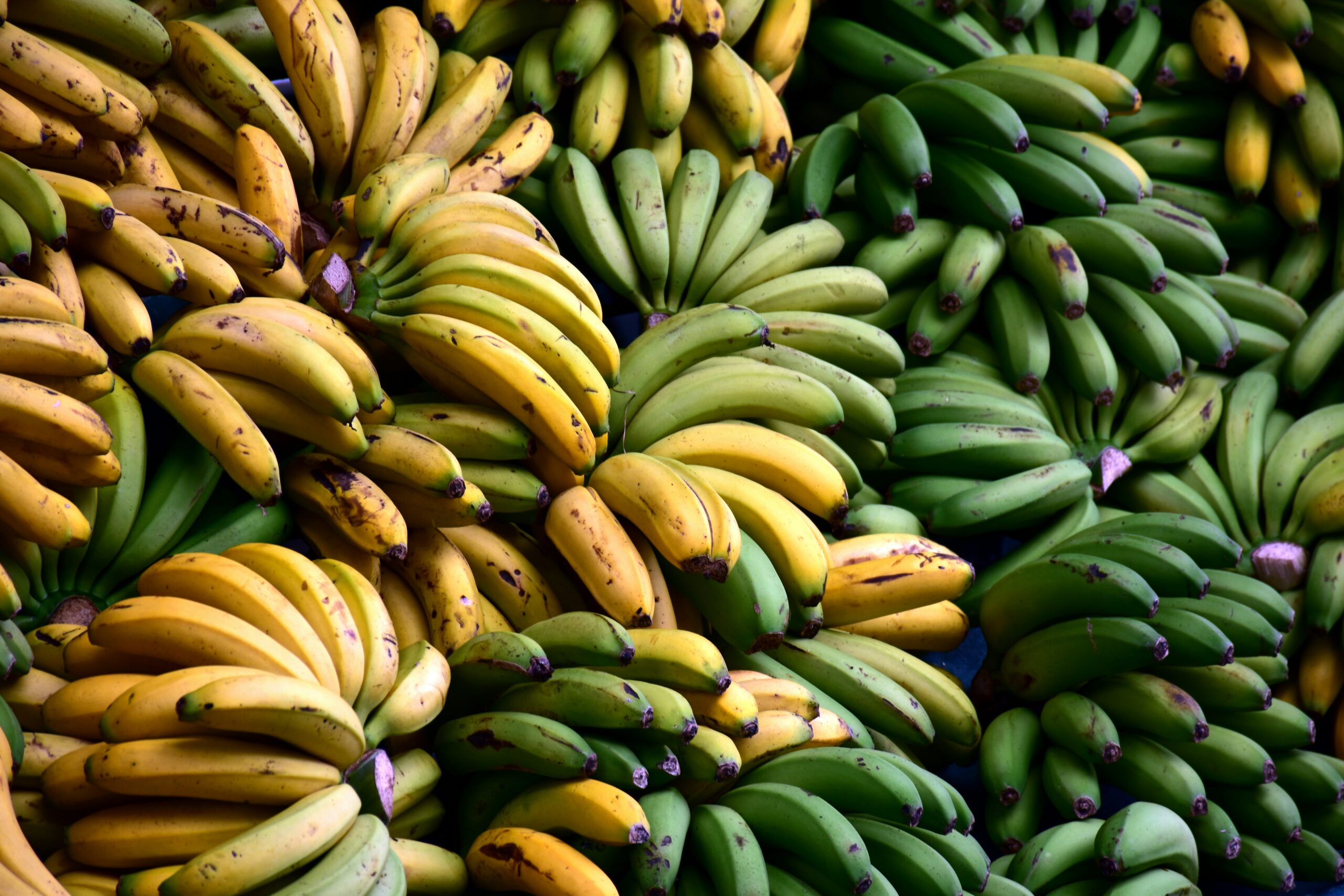 Bananas: What Are, Benefits, Content, Uses, and Safety