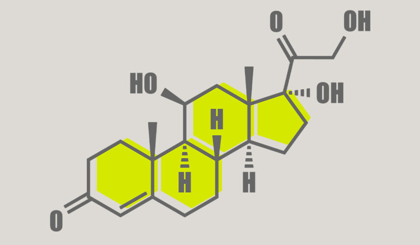 Cortisol: What Is, Production, Functions, and Testing