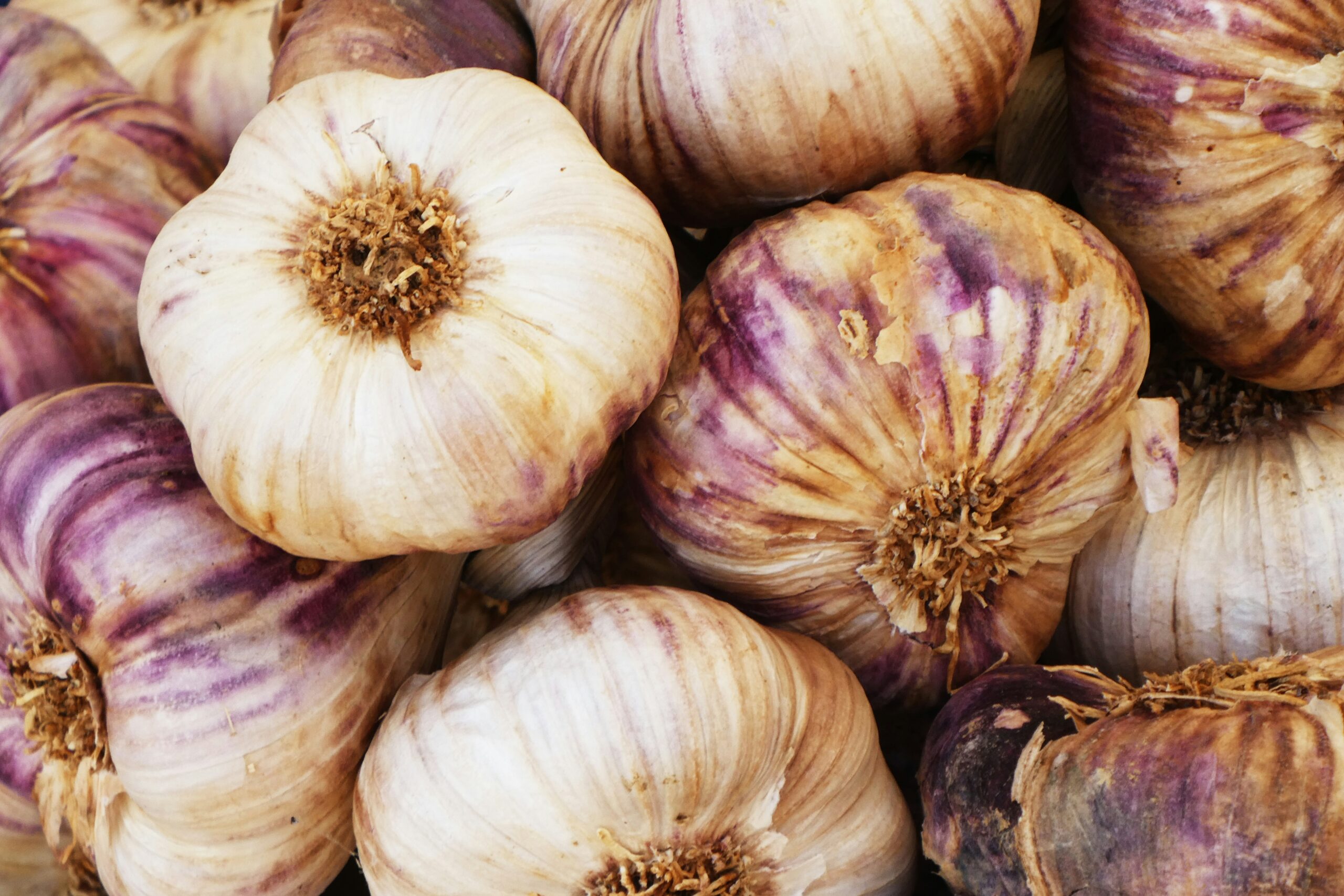 Garlic: What Is, Health Benefits, Nutrient Content, and Safety