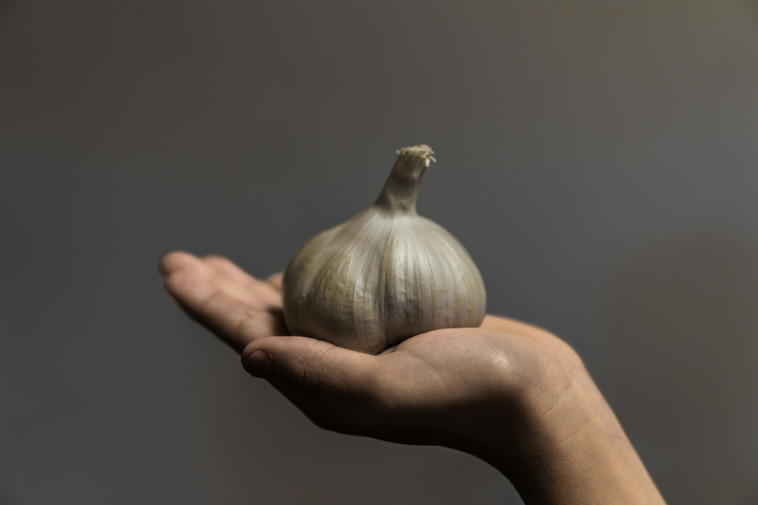 Garlic: What Is, Health Benefits, Nutrient Content, and Safety