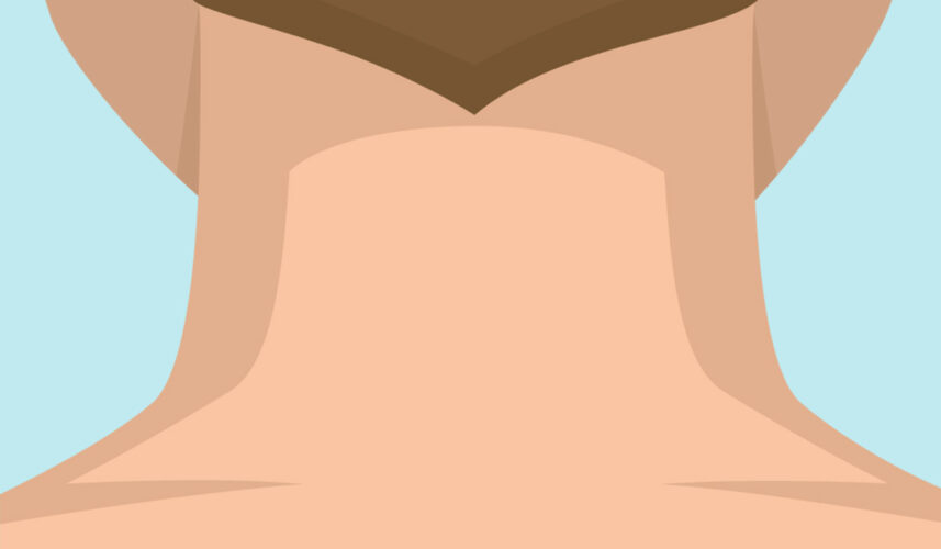 Neck: What Is, Anatomy, Functions, and Conditions