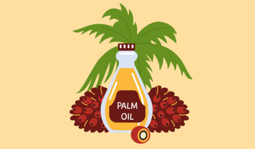 Palm Oil