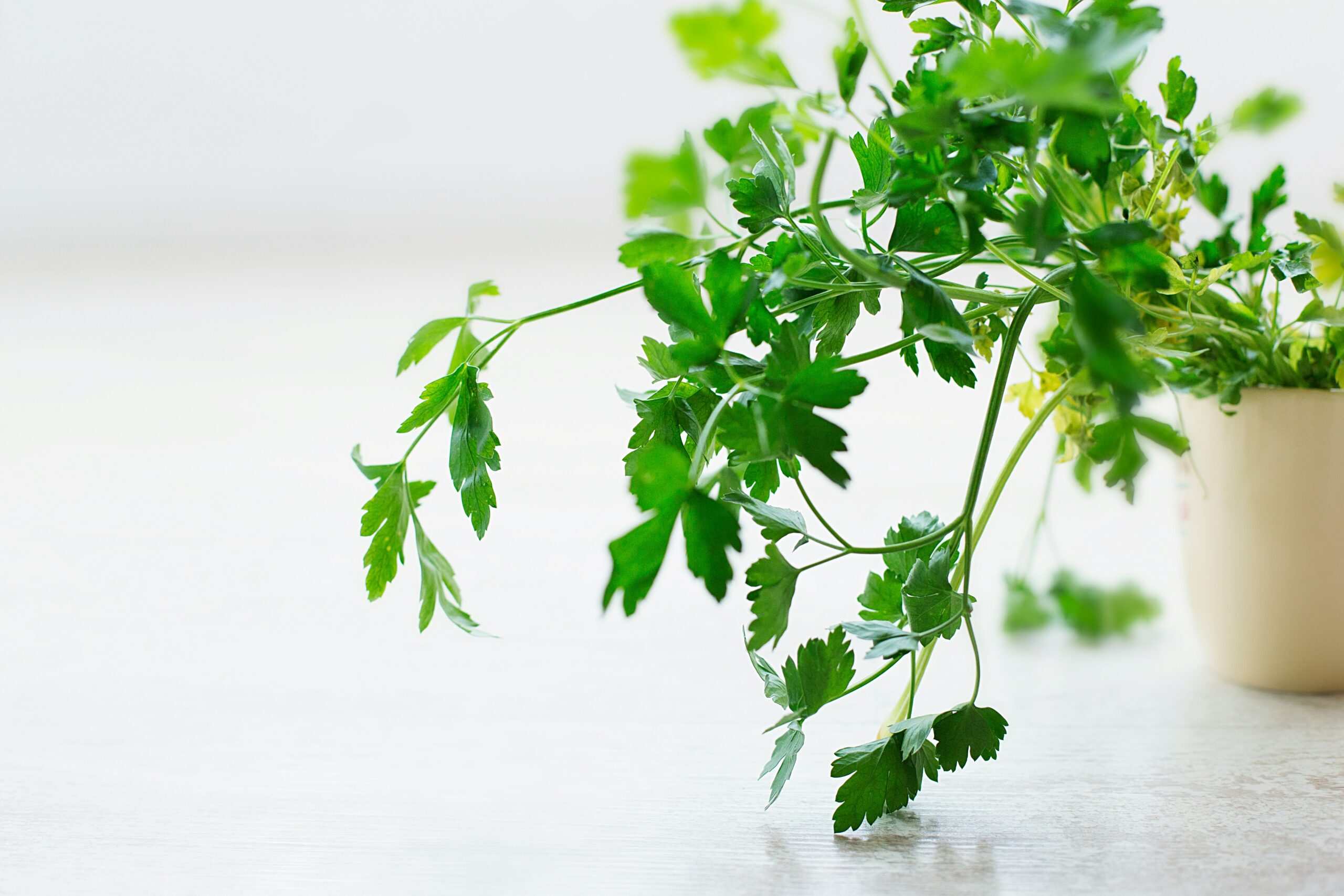 Parsley: What Is, Health Benefits, Nutrient Content, and Safety