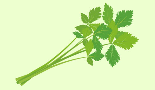 Parsley