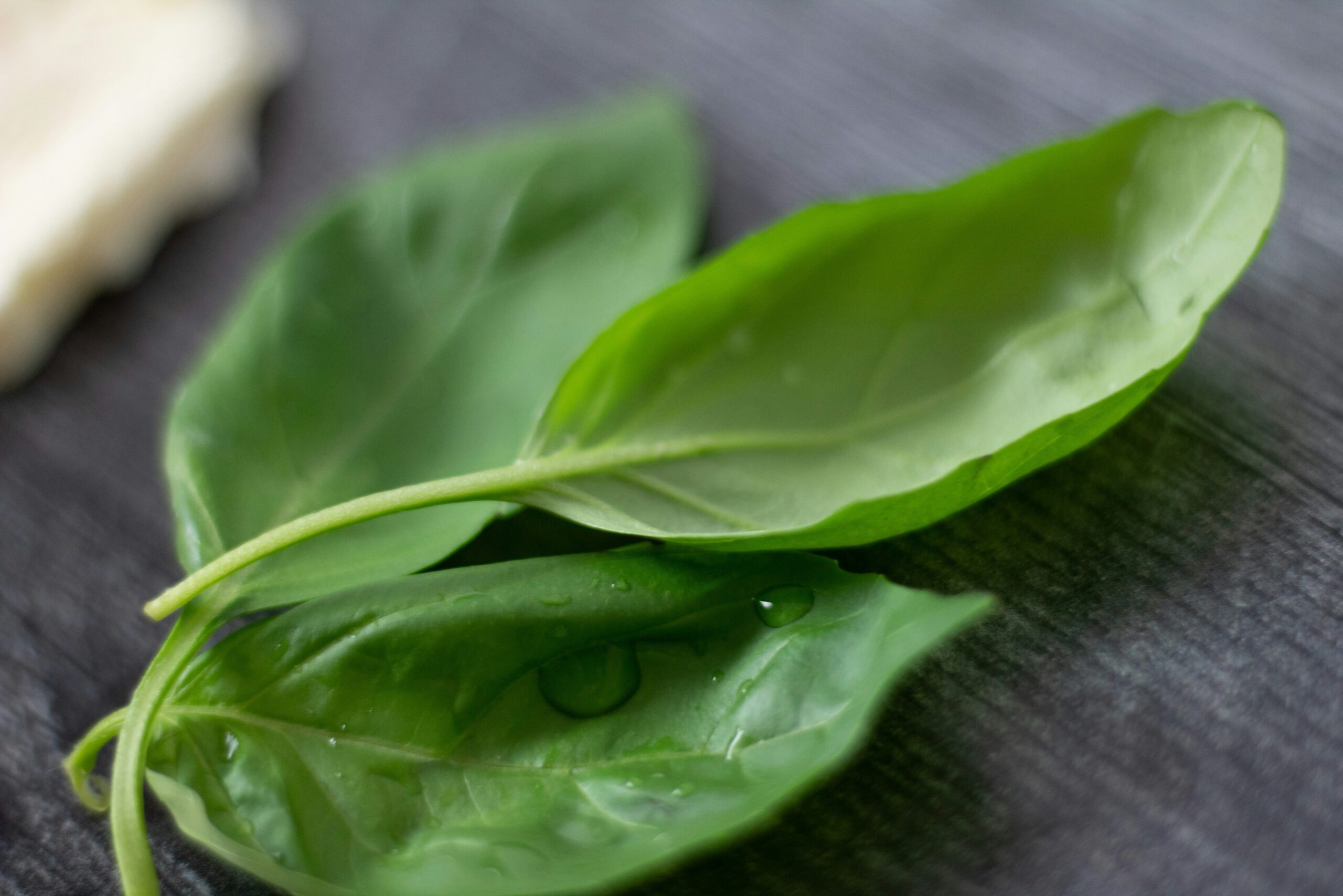 Spinach: What Is, Health Benefits, Content, and Contraindications