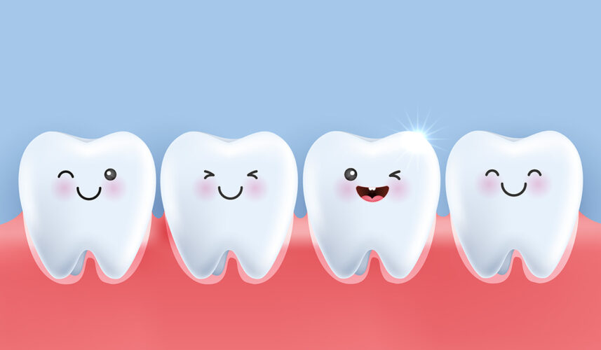 Teeth: What Are, Anatomy, Functions, and Treatment Of Issues