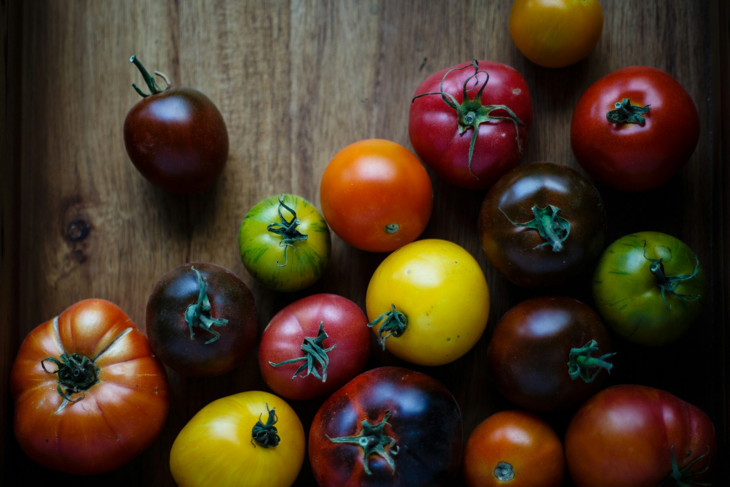 Tomatoes: What Are, Health Benefits, Nutrition Content, and Safety