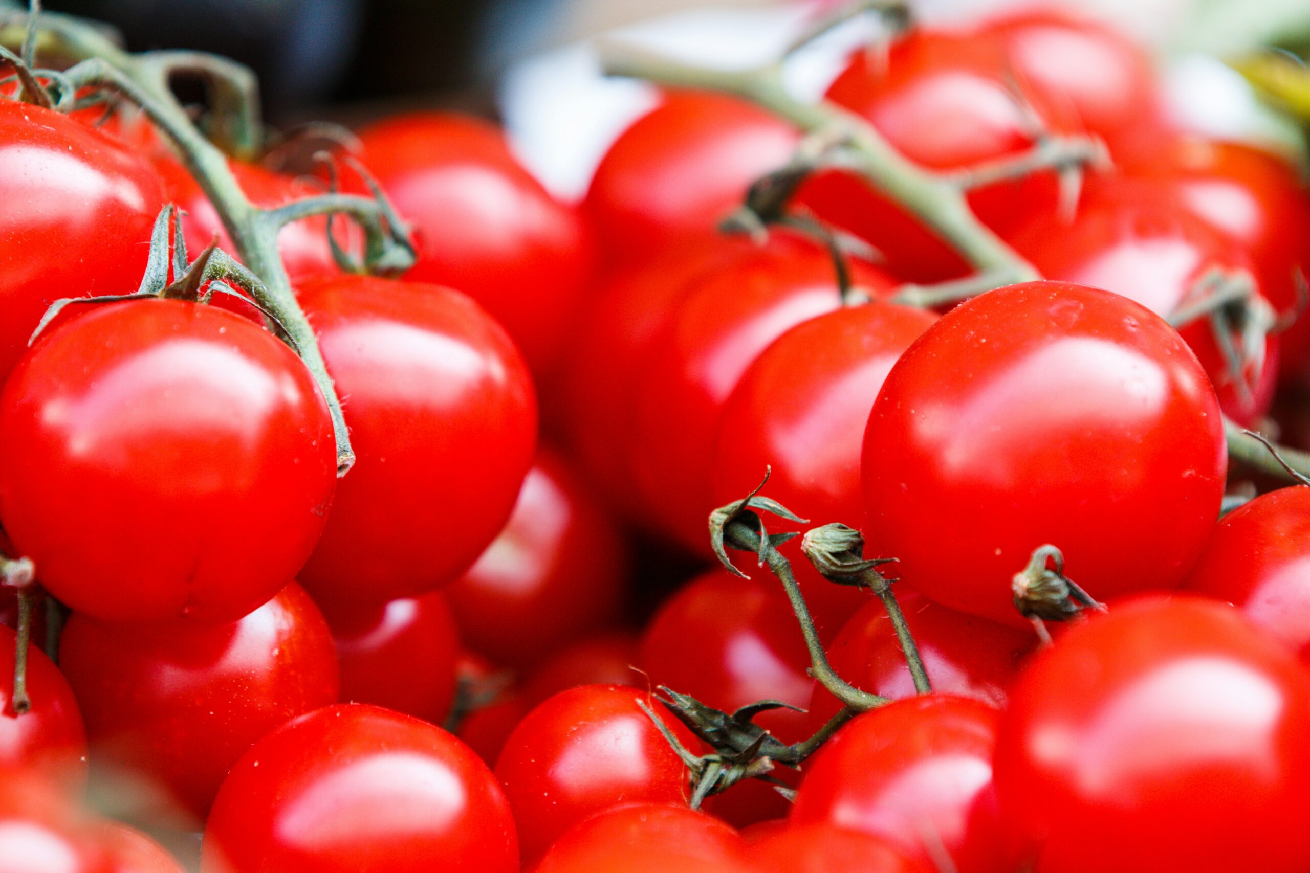 Tomatoes: What Are, Health Benefits, Nutrition Content, and Safety