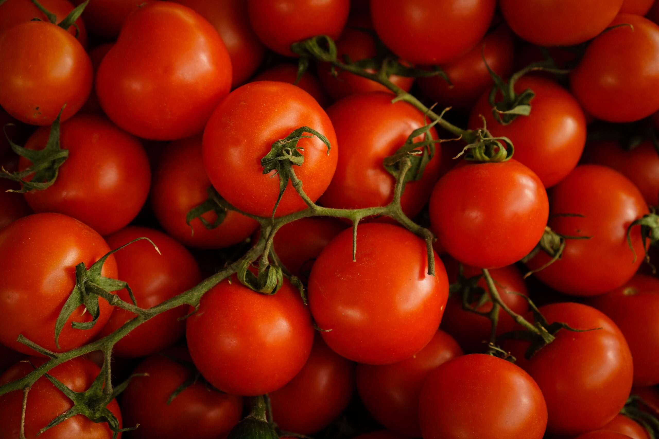 Tomatoes: What Are, Health Benefits, Nutrition Content, and Safety