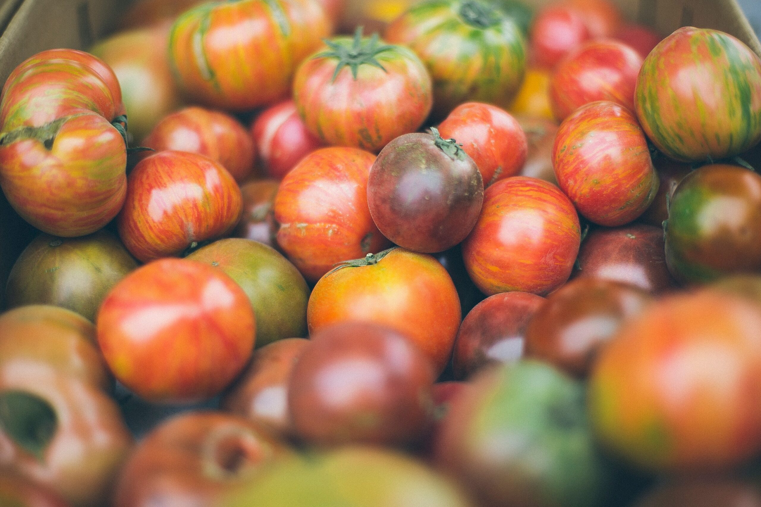 Tomatoes: What Are, Health Benefits, Nutrition Content, and Safety