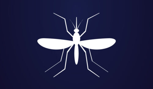 West Nile Virus