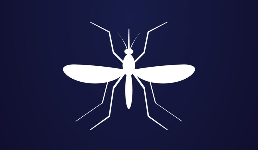 West Nile Virus: What Is, Causes, Symptoms, and More