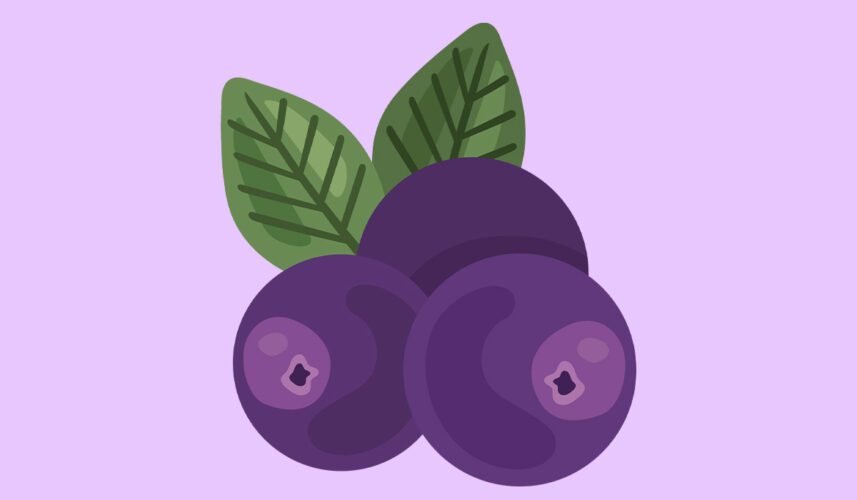 Acai: What Is, Health Benefits, Components, and Safety