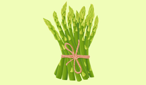 Asparagus