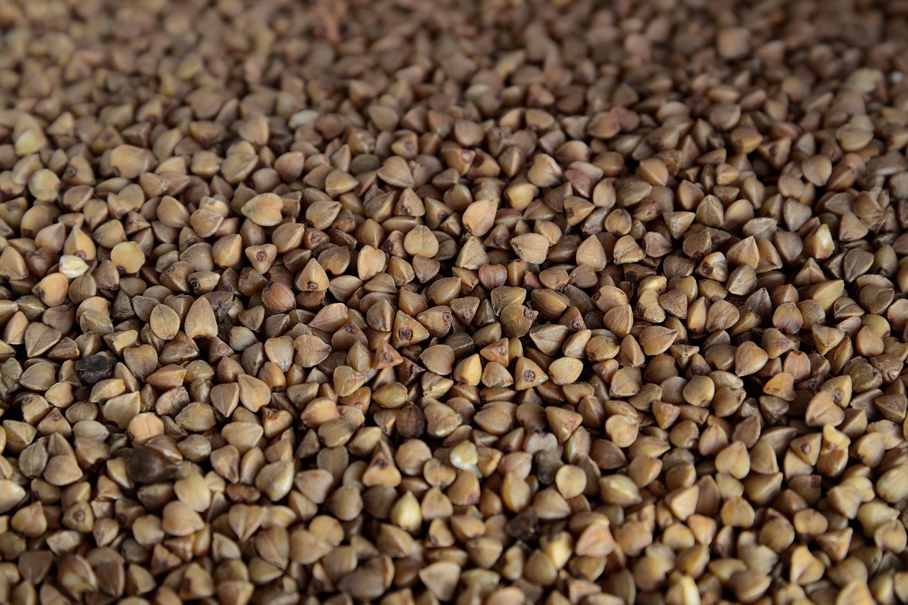 Buckwheat: What Is, Health Benefits, Content, and Safety