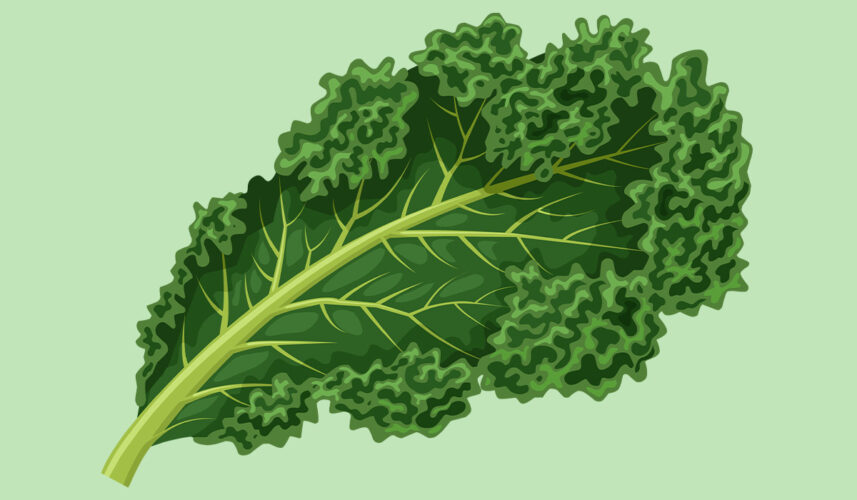 Kale: What Is, Health Benefits, Composition, and Safety