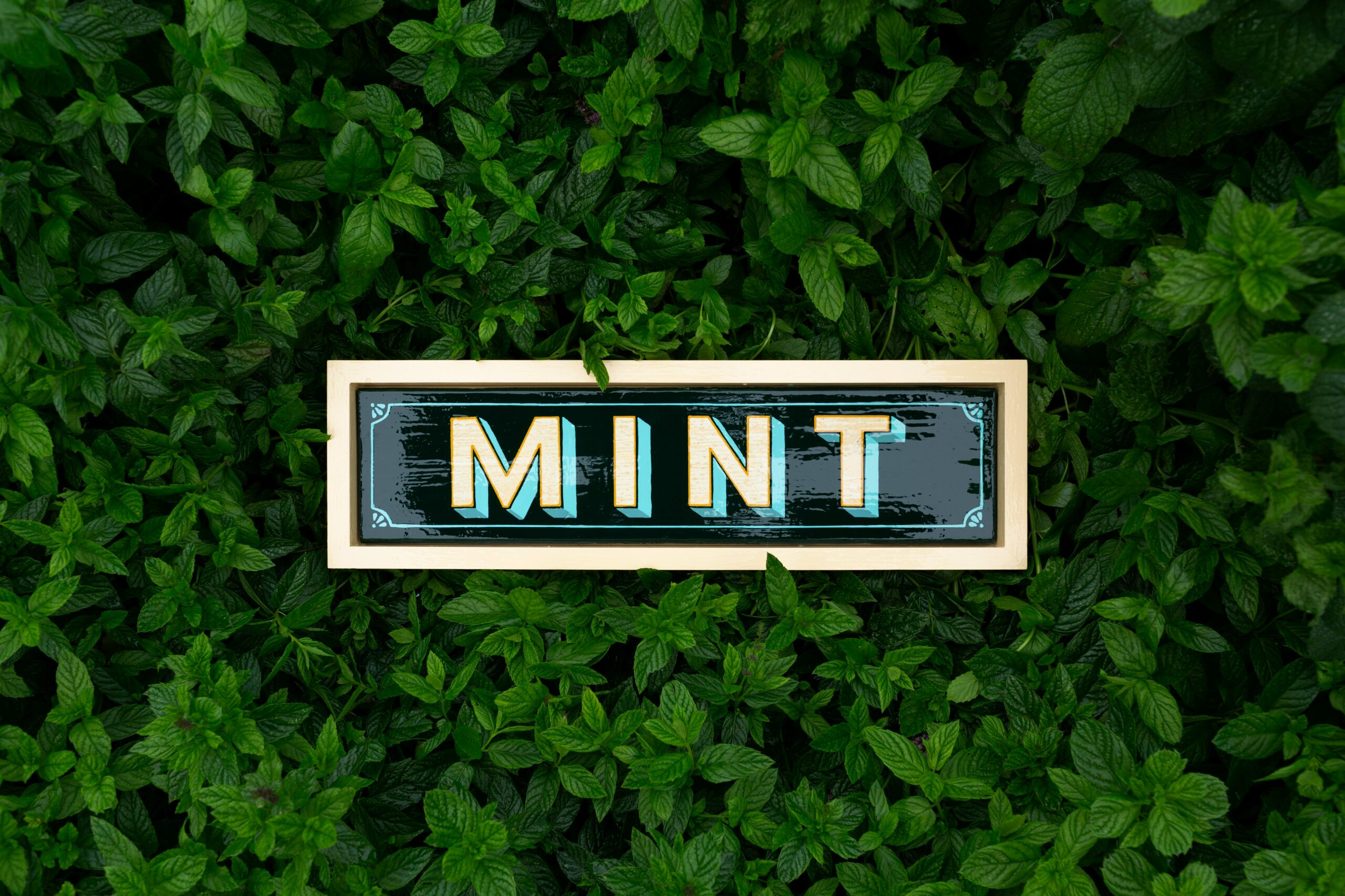 Mint: What Is, Health Benefits,Content, and Safety