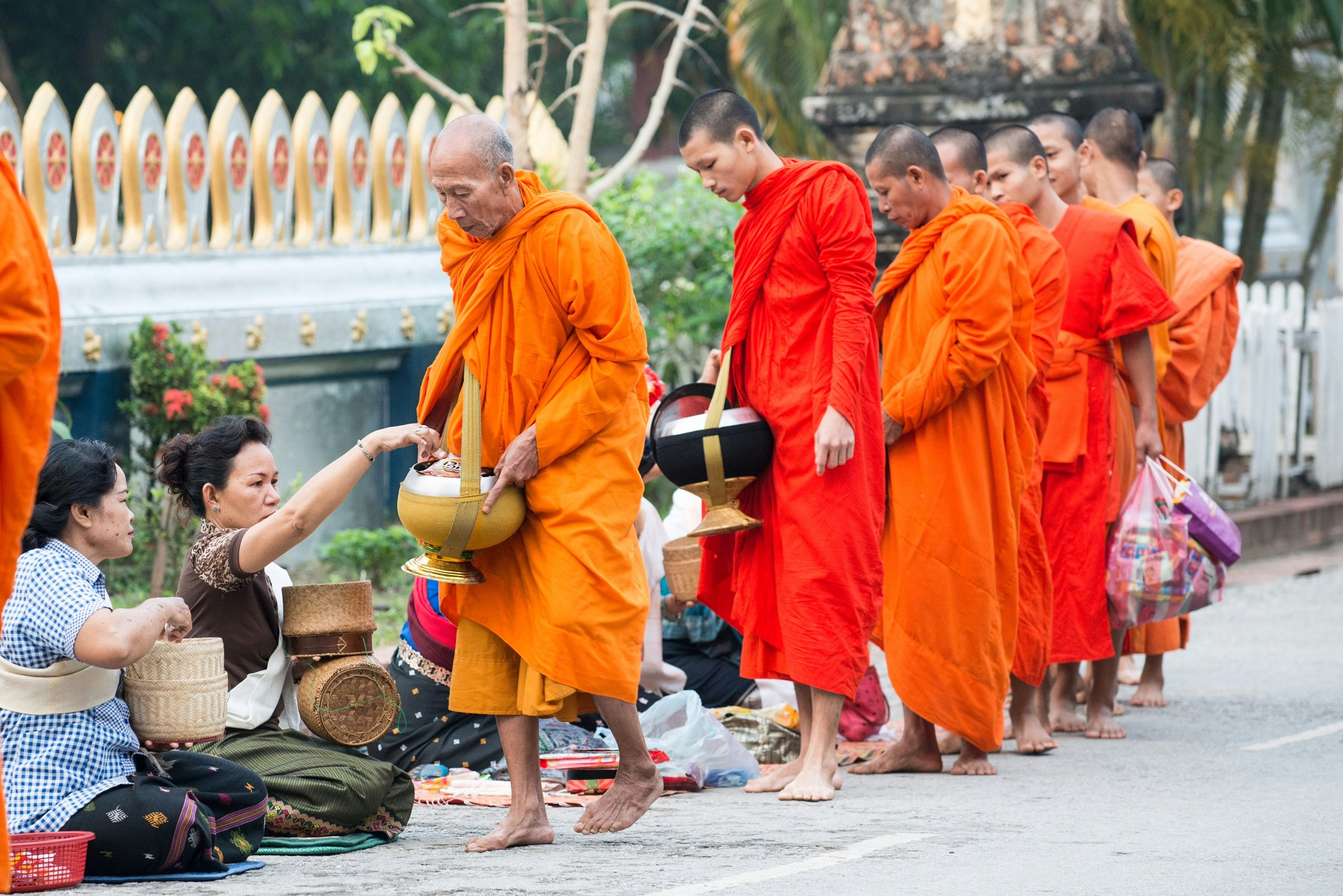 Monk Fruit: What Is, Health Benefits, Content, and Safety