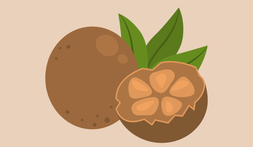 Monk Fruit: What Is, Health Benefits, Content, and Safety