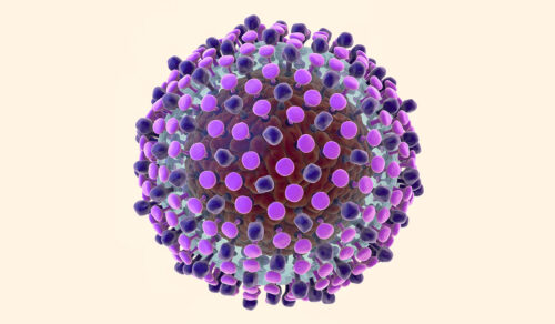 Oropouche Virus