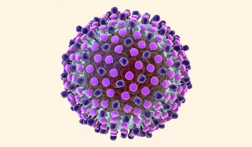 Oropouche Virus: What Is, Causes, Symptoms, and Treatment