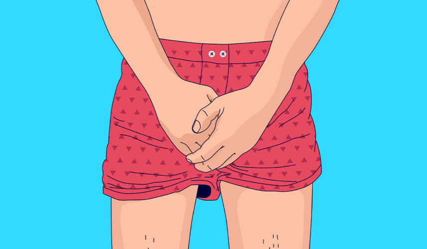 Testicles: What Are, Anatomy, Roles, And How To Take Care