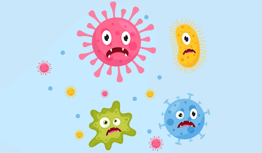 Viruses: What Are, Classification, and Viral Diseases