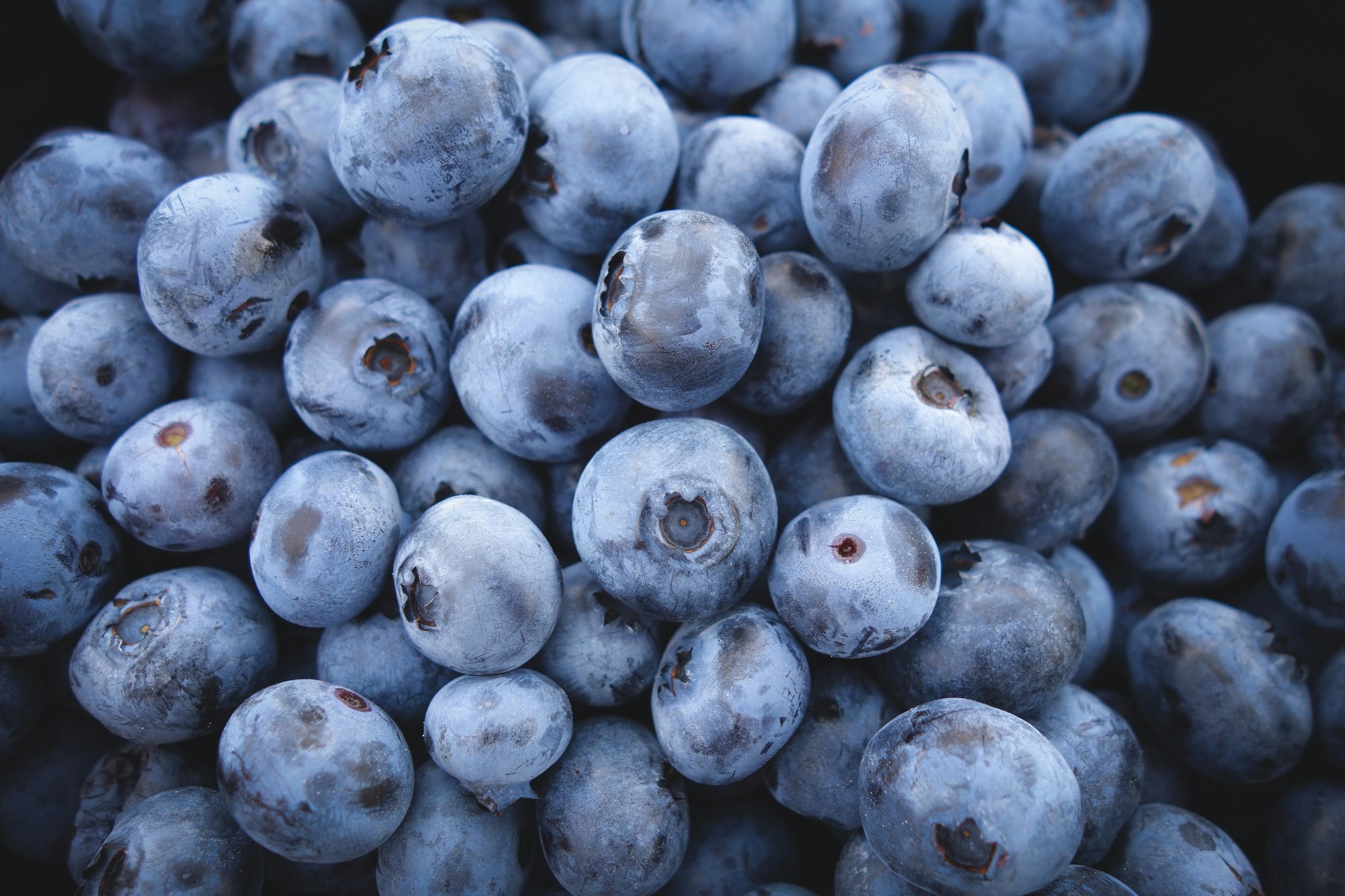 Blueberry: What Is, Health Benefits, Content, and Safety