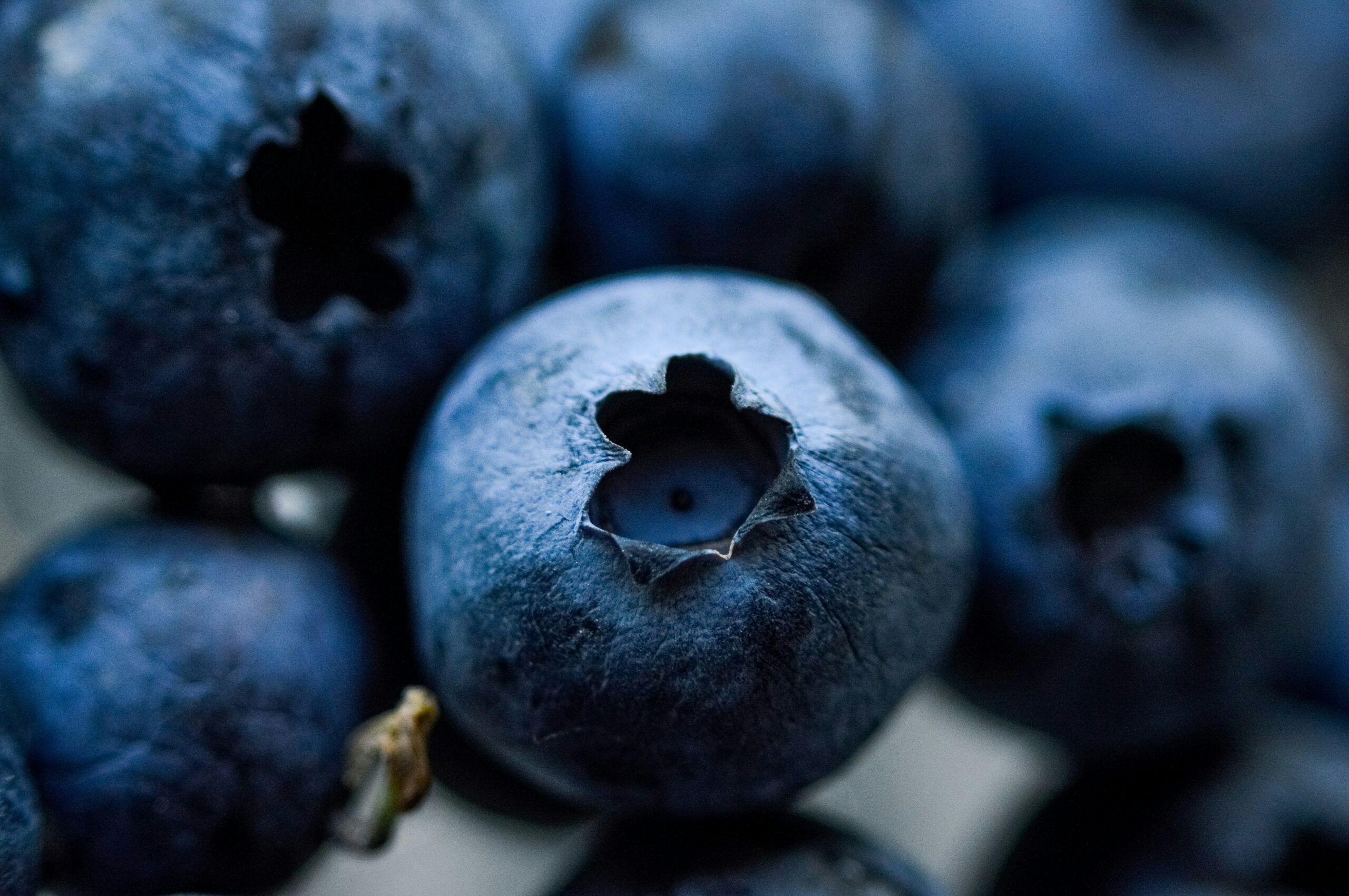 Blueberry: What Is, Health Benefits, Content, and Safety