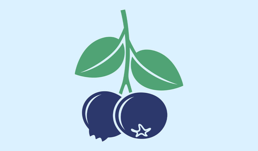 Blueberry: What Is, Health Benefits, Content, and Safety
