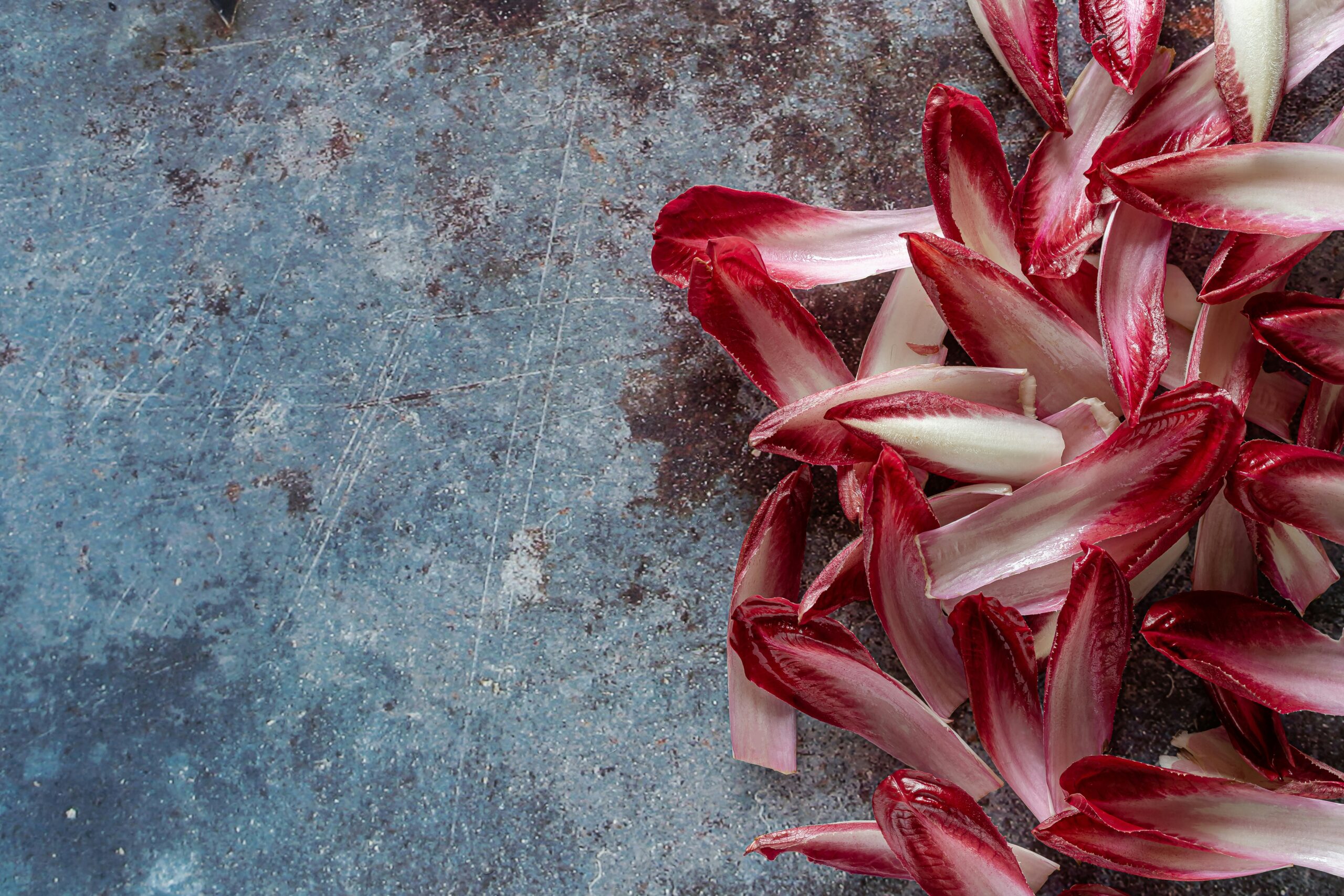 Chicory: What Is, Benefits, Content, Uses, and Safety