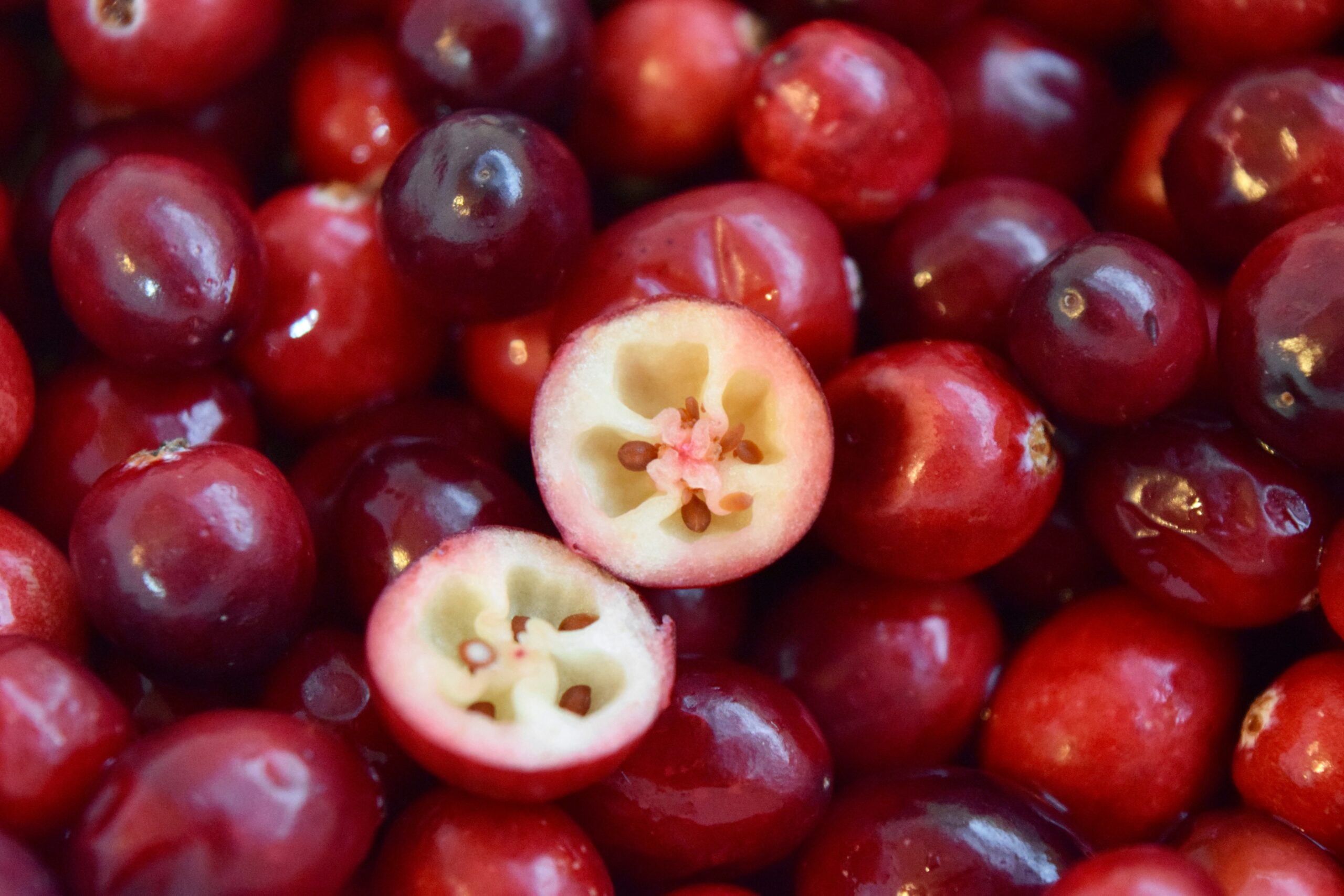 Cranberries: What Are, Health Benefits, Content, and Safety