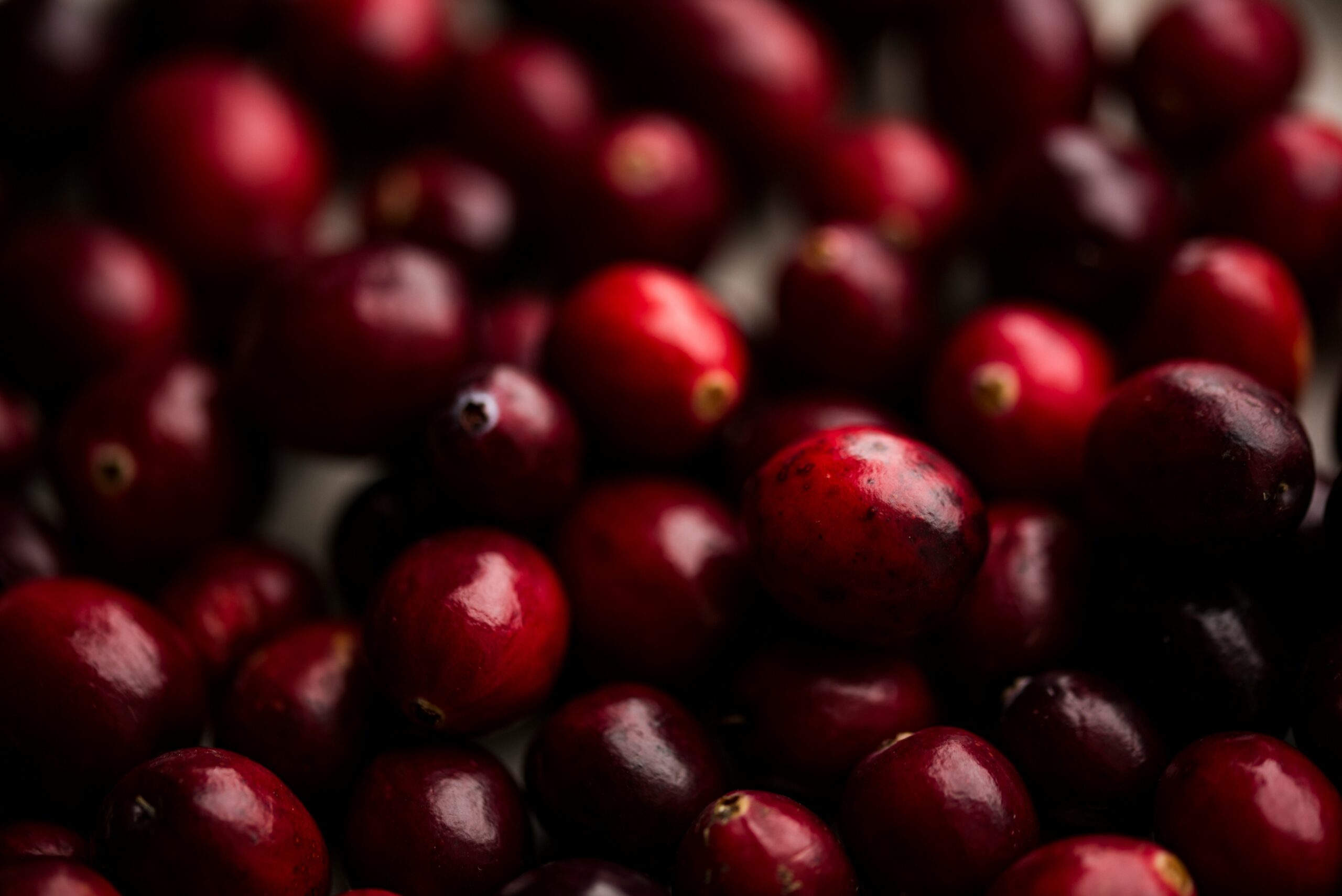 Cranberries: What Are, Health Benefits, Content, and Safety