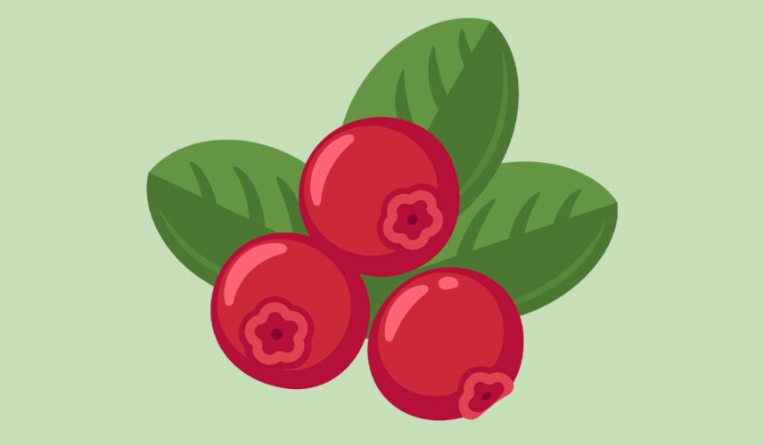 Cranberries: What Are, Health Benefits, Content, and Safety
