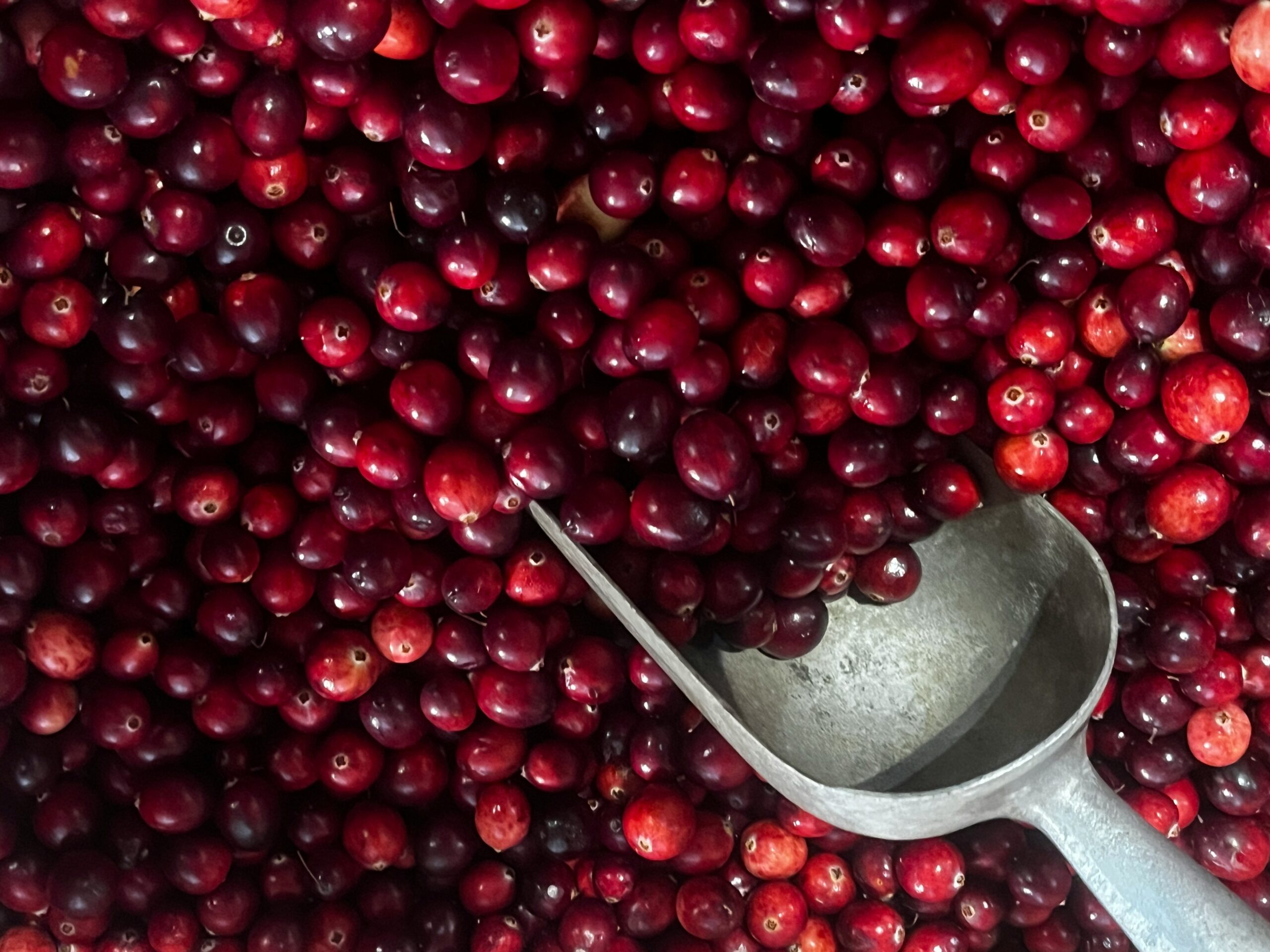 Cranberries: What Are, Health Benefits, Content, and Safety