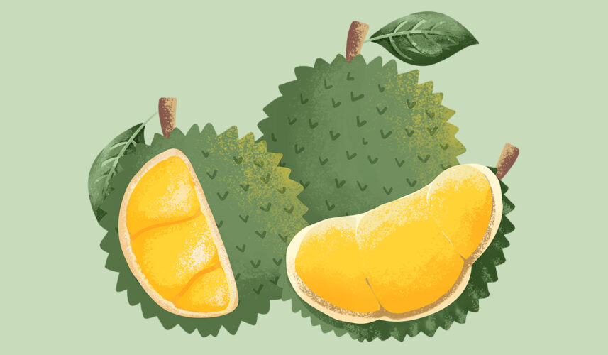 Durian: Uses, Benefits, Content, and Safety