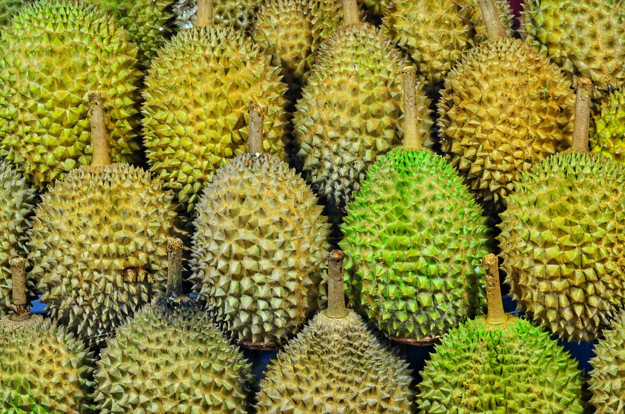 Durian: Uses, Benefits, Content, and Safety