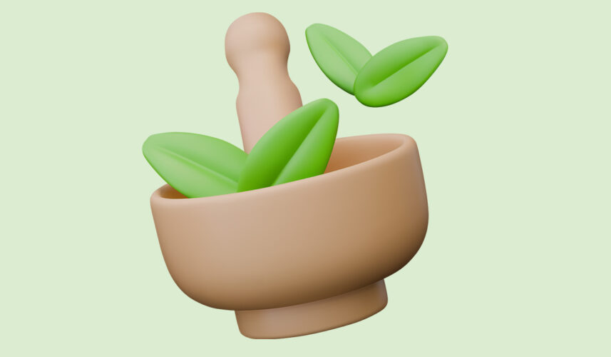 Herbs: What Are, Methods of Preparing