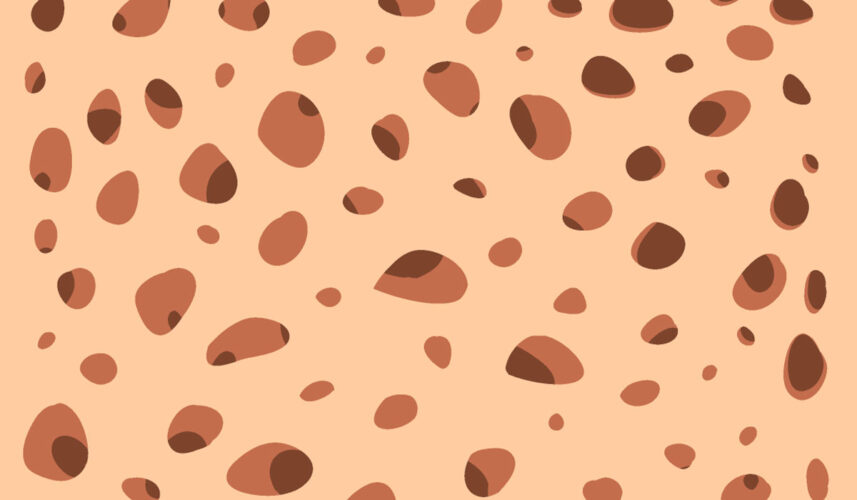 Osteopenia: What Is, Symptoms, Diagnosis, and Treatment