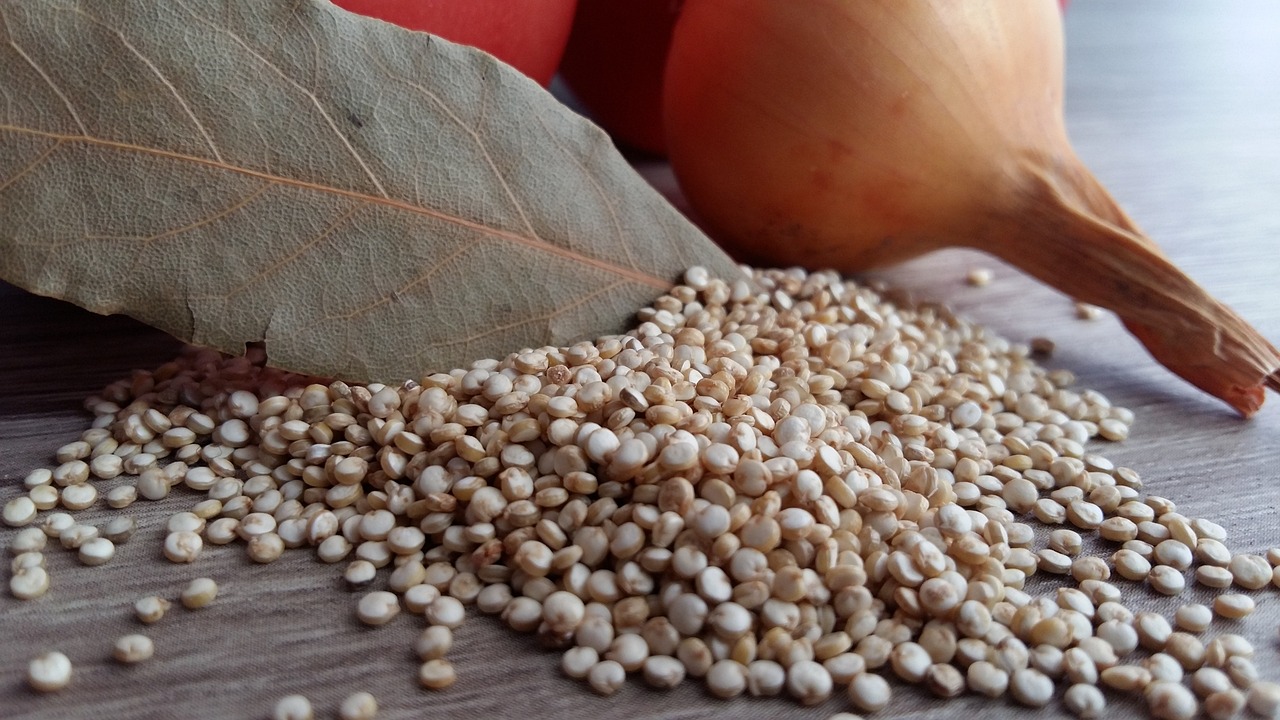 Quinoa: What Is, Uses, Benefits, Content, and Safety